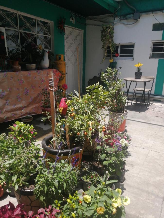 Departamento Cercano Al Aeropuerto T2, A 2 Calles Ciudad de México Exterior foto
